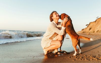 Cultivating Lasting Happiness: How to Unlock the Power of Mindful Appreciation