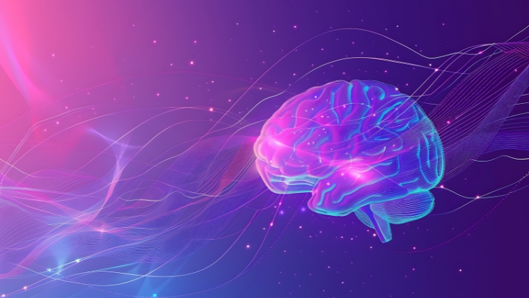 Translucent illustrated brain with a pink and purple background | Getting More Better More Faster The Potential of Accelerated Deep TMS | Mindful Health Solutions