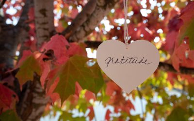 Thanksgiving & the Practice of Gratitude: Creating a More Positive & Thankful Life