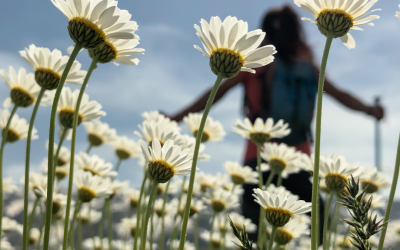 The Nurturing Effect of Nature on Mental Health